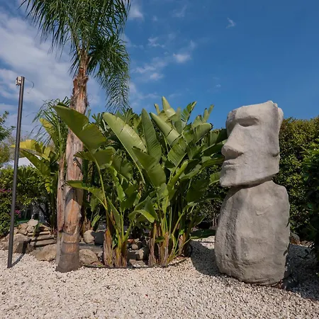 Seta Готель типу 