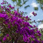 Bed & Breakfast Seta