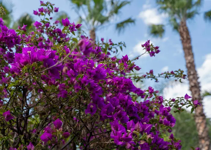 Nocleg ze śniadaniem Seta