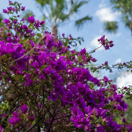 Frühstückspension Seta